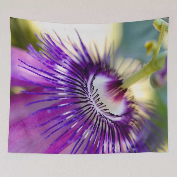 Item preview, Purple Passiflora designed and sold by amyericephoto.