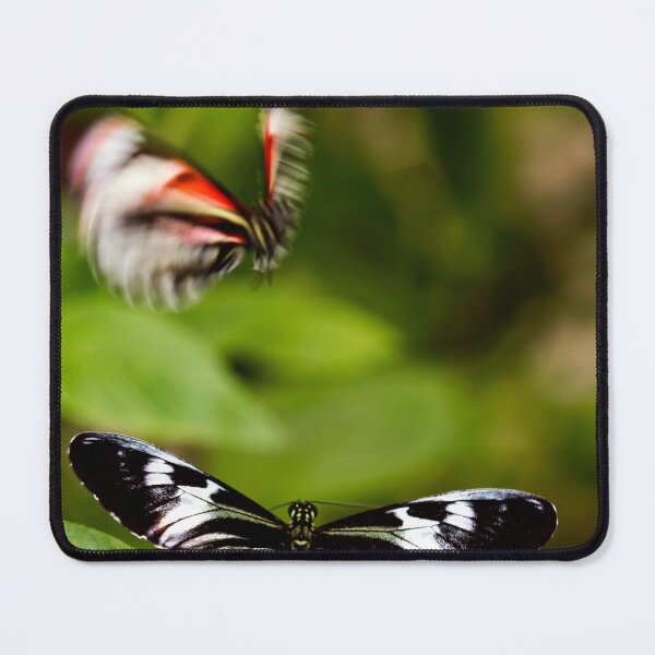 Item preview, Bother designed and sold by amyericephoto.