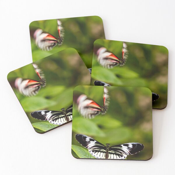 Item preview, Bother designed and sold by amyericephoto.