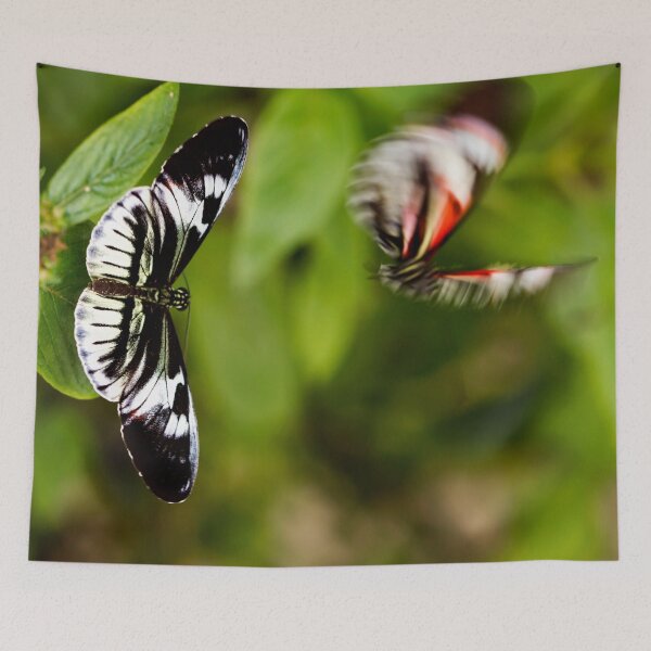 Item preview, Bother designed and sold by amyericephoto.