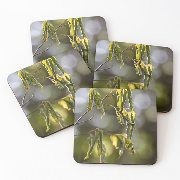 Item preview, Wilt designed and sold by amyericephoto.