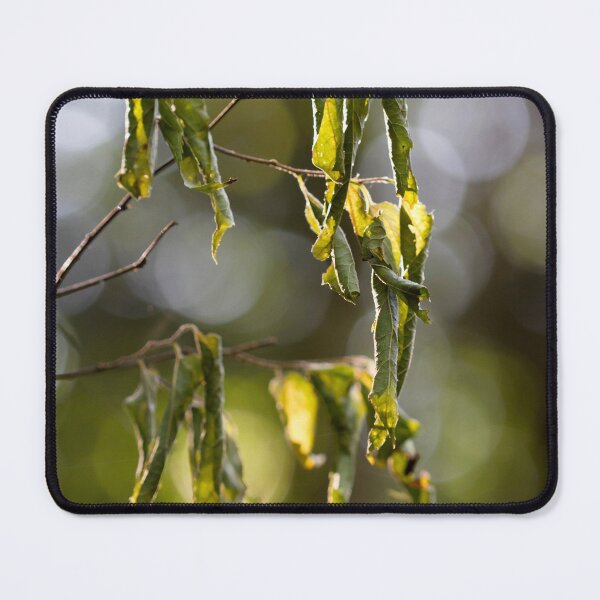 Item preview, Wilt designed and sold by amyericephoto.