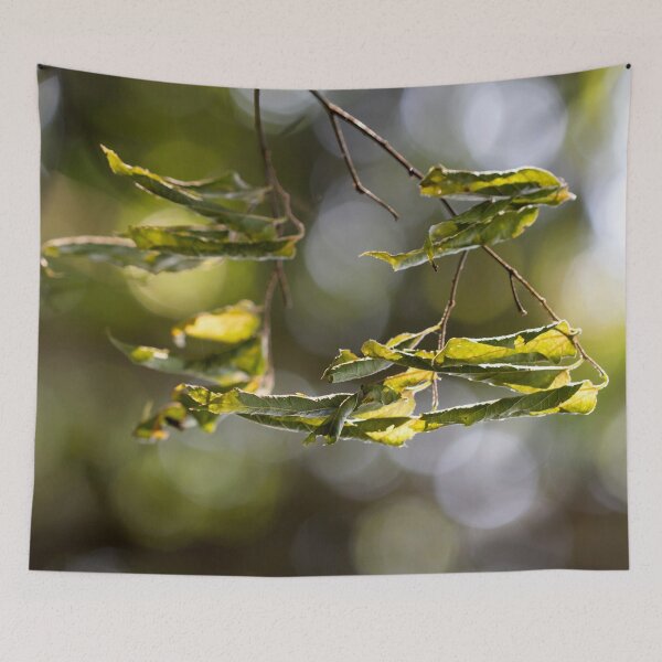 Item preview, Wilt designed and sold by amyericephoto.