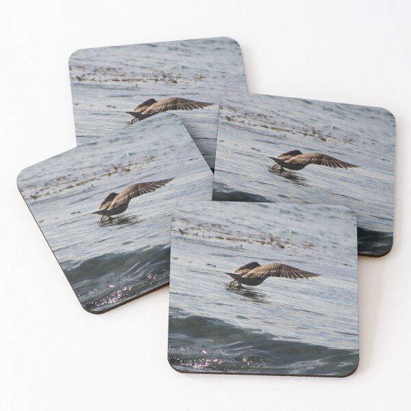 Item preview, bird in the strait designed and sold by Requiem_Pudú.