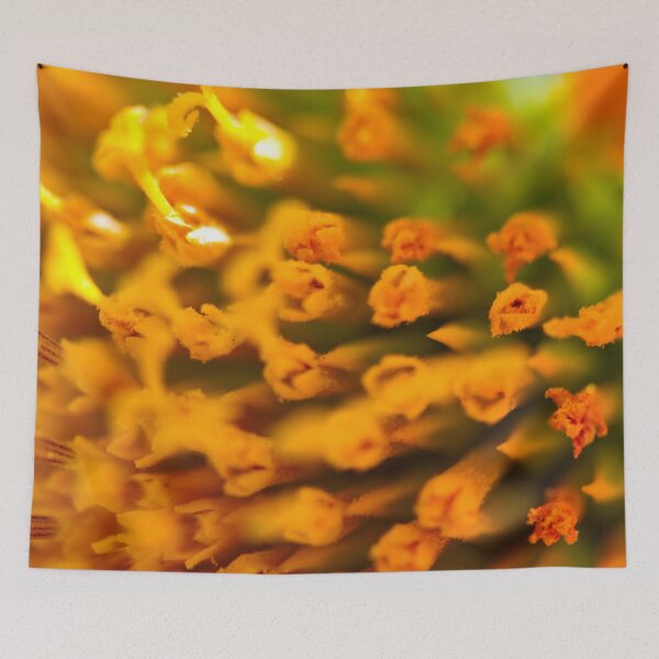 Item preview, Orange Rolls designed and sold by amyericephoto.