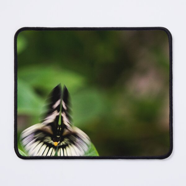 Item preview, Sheild designed and sold by amyericephoto.