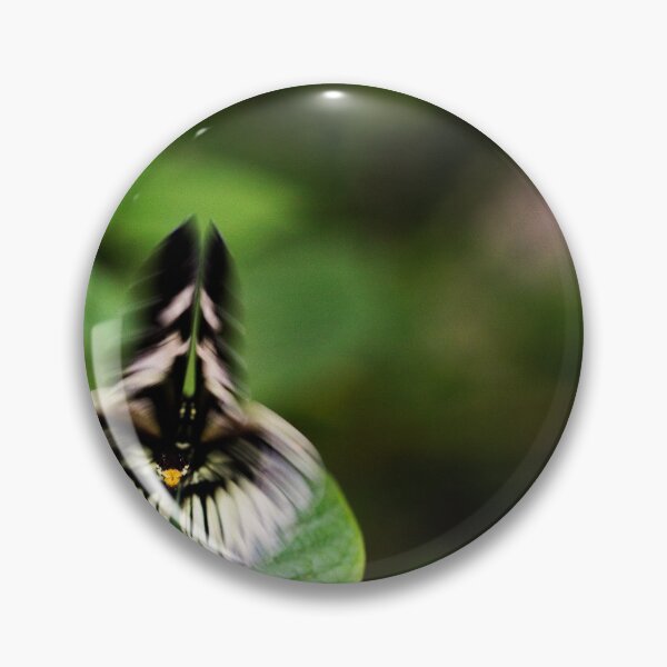 Item preview, Sheild designed and sold by amyericephoto.