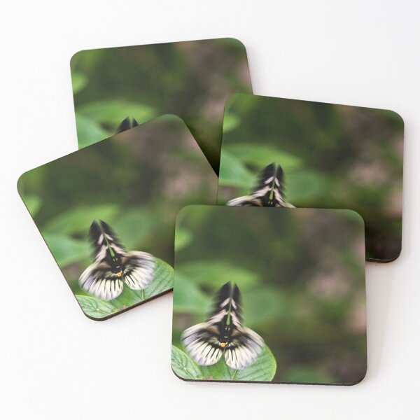 Item preview, Sheild designed and sold by amyericephoto.