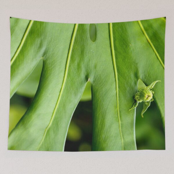 Item preview, Behind designed and sold by amyericephoto.