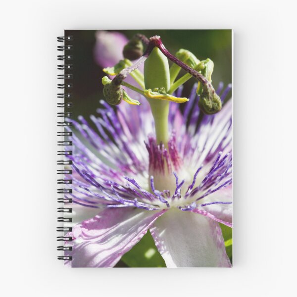 Item preview, Passiflora Incarnata designed and sold by amyericephoto.