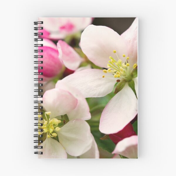 Item preview, Blossoms designed and sold by amyericephoto.