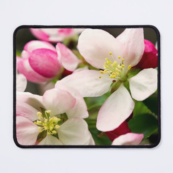 Item preview, Blossoms designed and sold by amyericephoto.