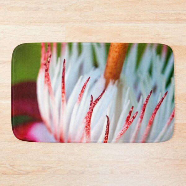 Item preview, Reach Upward designed and sold by amyericephoto.