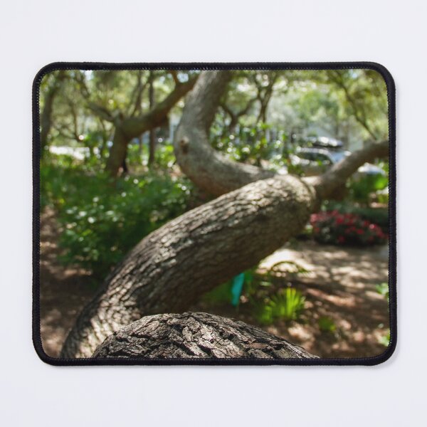 Item preview, Climb designed and sold by amyericephoto.