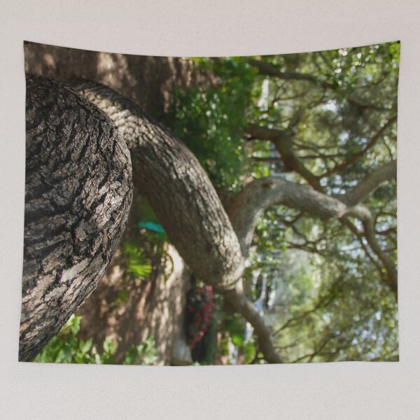 Item preview, Climb designed and sold by amyericephoto.