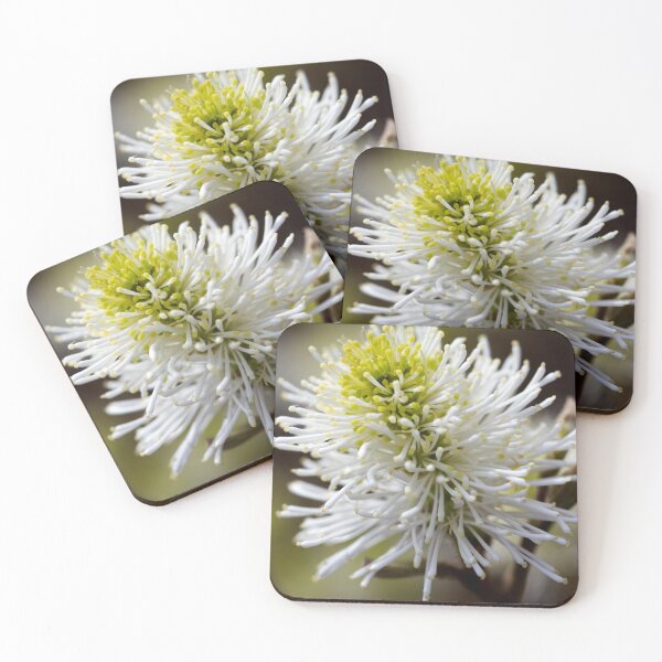 Item preview, Reach Out designed and sold by amyericephoto.