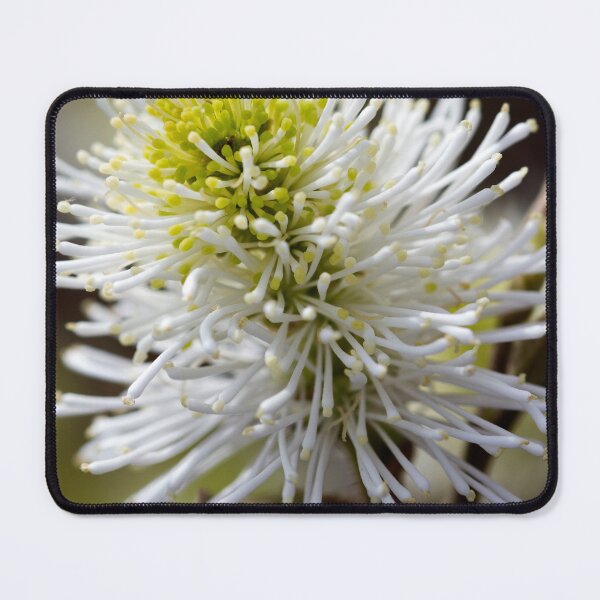 Item preview, Reach Out designed and sold by amyericephoto.