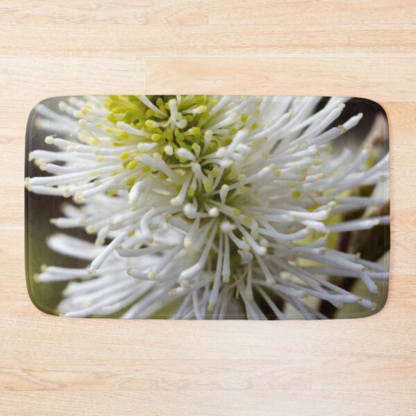 Item preview, Reach Out designed and sold by amyericephoto.