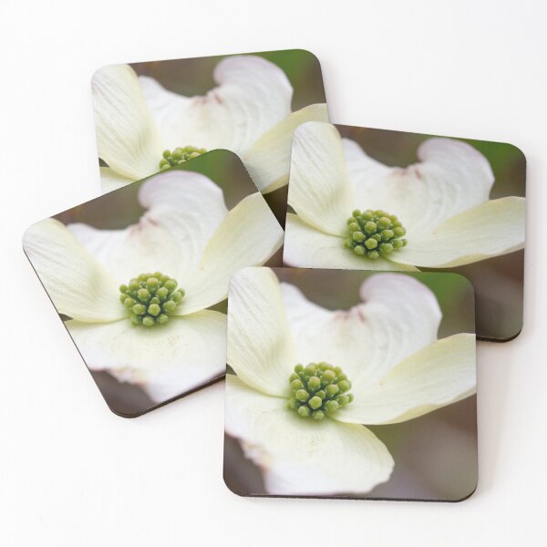 Item preview, Dogwood 2 designed and sold by amyericephoto.