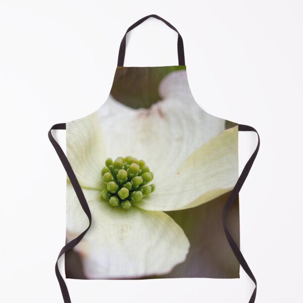 Item preview, Dogwood 2 designed and sold by amyericephoto.