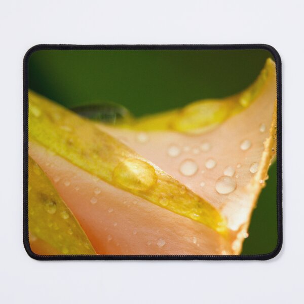 Item preview, Droplets designed and sold by amyericephoto.
