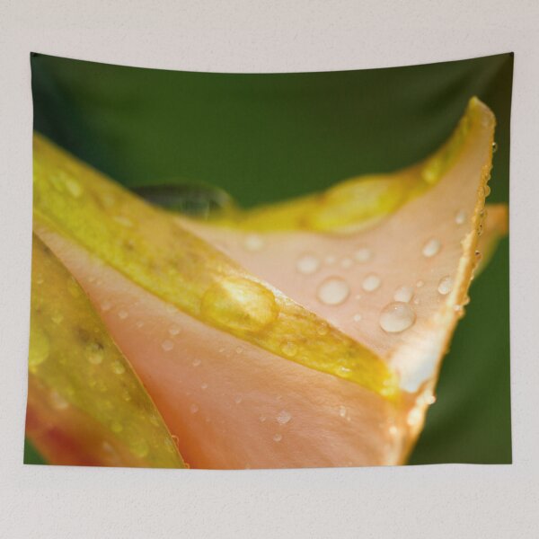 Item preview, Droplets designed and sold by amyericephoto.