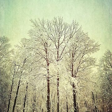 Artwork thumbnail, Dreamy Snowy Trees 1 by OneDayArt