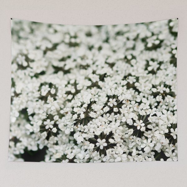 Item preview, Queens Ann Lace designed and sold by amyericephoto.