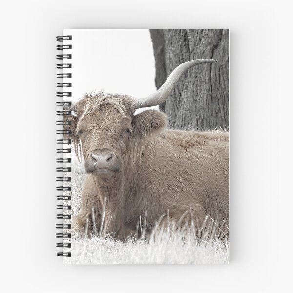 Item preview, Highland Cow No1 designed and sold by GaryParnell.