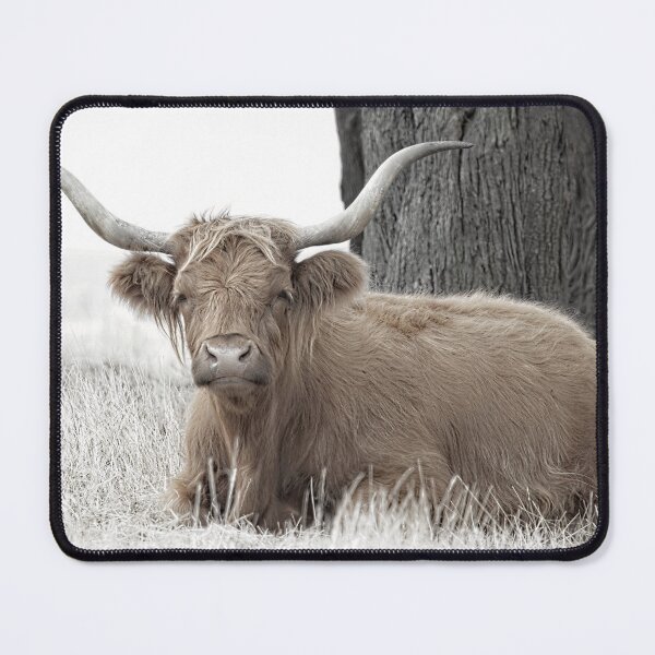 Item preview, Highland Cow No1 designed and sold by GaryParnell.