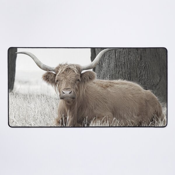 Item preview, Highland Cow No1 designed and sold by GaryParnell.