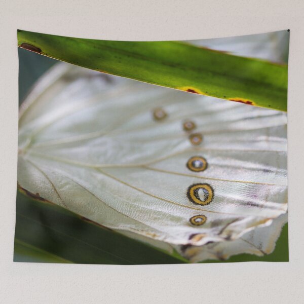 Item preview, White Wings designed and sold by amyericephoto.