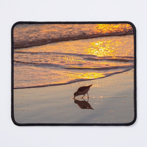 Item preview, Feeding designed and sold by amyericephoto.