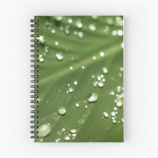 Item preview, Dew Drops designed and sold by amyericephoto.