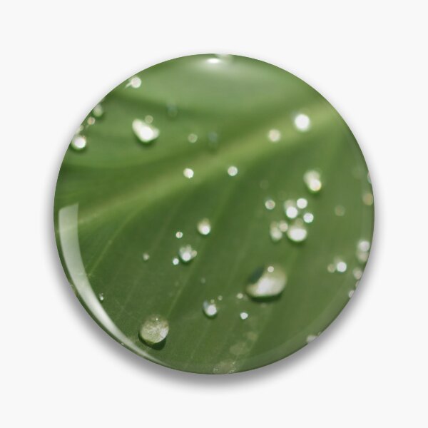Item preview, Dew Drops designed and sold by amyericephoto.