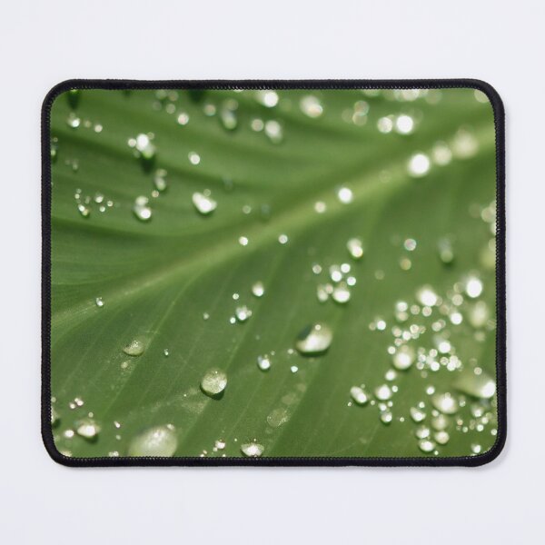 Item preview, Dew Drops designed and sold by amyericephoto.