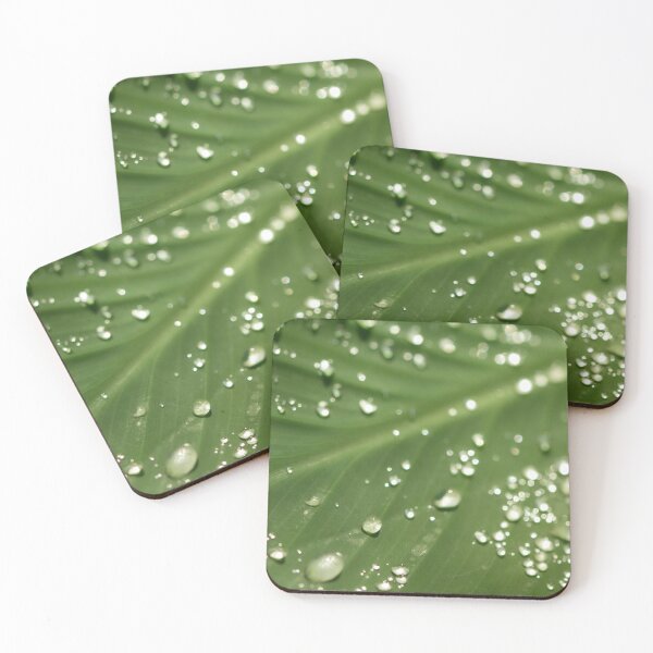 Item preview, Dew Drops designed and sold by amyericephoto.