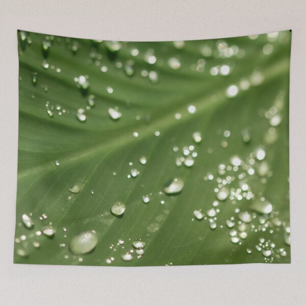 Item preview, Dew Drops designed and sold by amyericephoto.