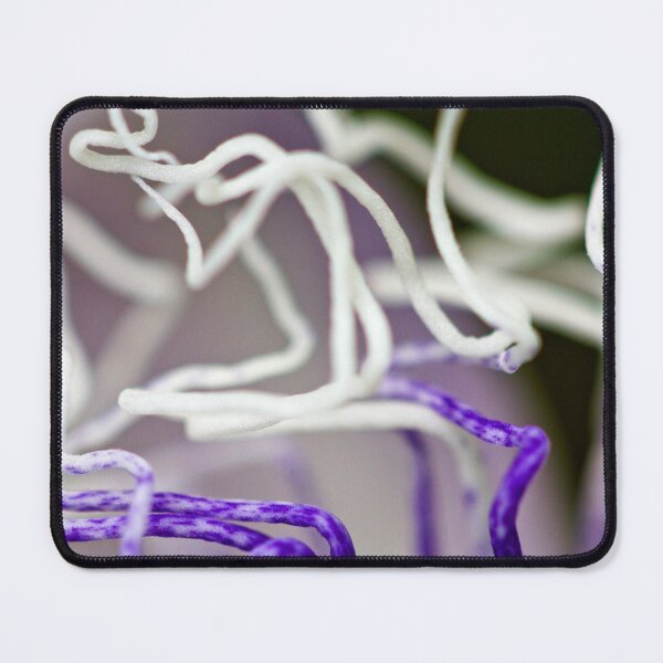 Item preview, White Tentacles designed and sold by amyericephoto.