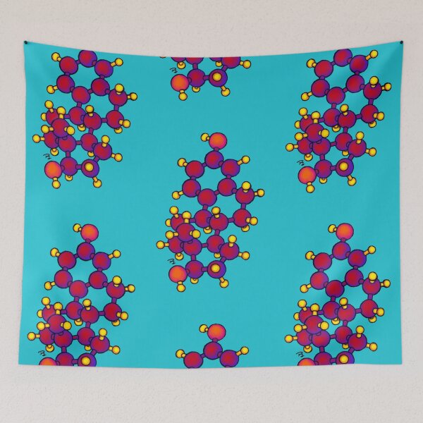 Item preview, Estrogen: The Hormone, The Molecule  designed and sold by FreyStrandDraws.