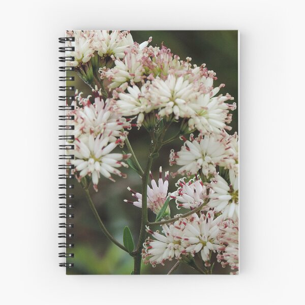 Item preview, Wildflowers on the trail designed and sold by Jmb67.