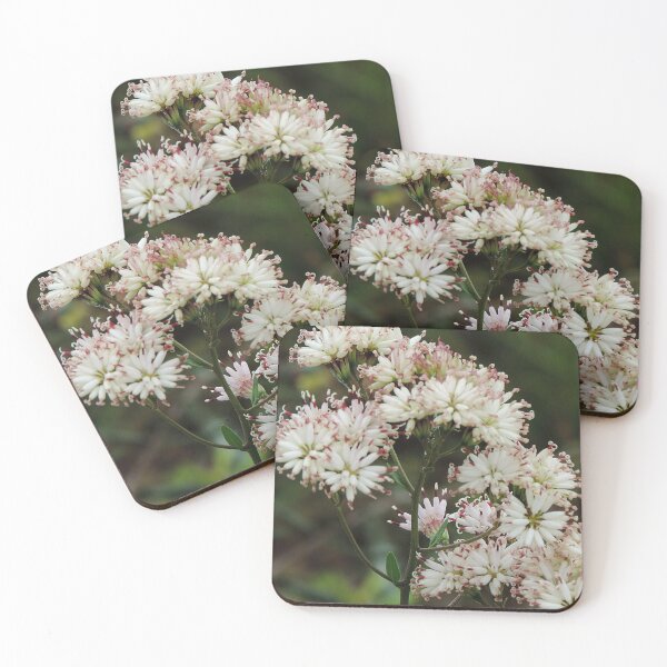 Item preview, Wildflowers on the trail designed and sold by Jmb67.