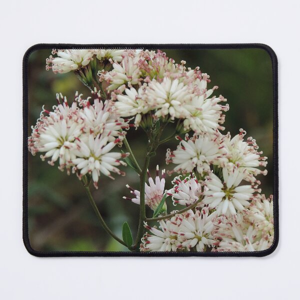 Item preview, Flores silvestres en el camino designed and sold by Jmb67.