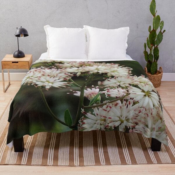 Item preview, Wildflowers on the trail designed and sold by Jmb67.