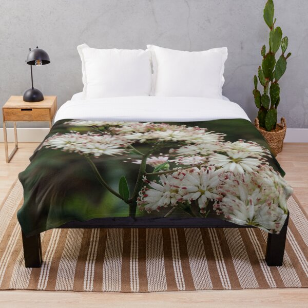 Item preview, Wildflowers on the trail designed and sold by Jmb67.