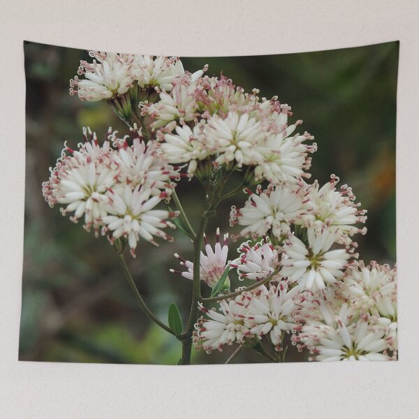 Item preview, Wildflowers on the trail designed and sold by Jmb67.