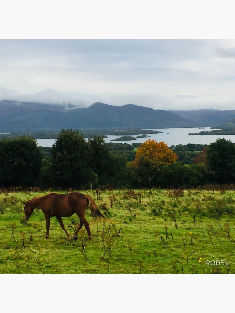 Thumbnail 4 of 4, Clock, Scotland Country side designed and sold by ROB51.