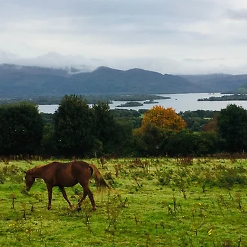 Artwork thumbnail, Scotland Country side by ROB51