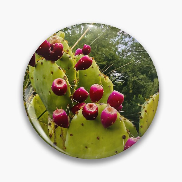 Artikelvorschau, Barbary Fig entworfen und verkauft von Sthoen.