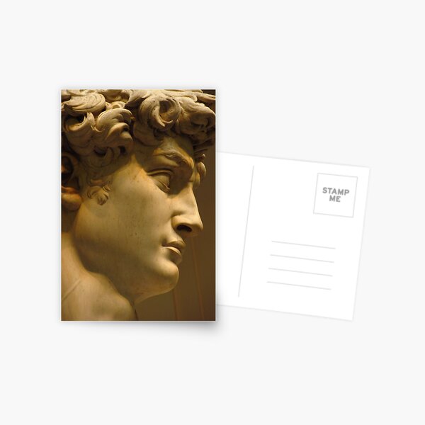 Michelangelo Study; The Face Postcard